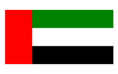 dubaiflag.png